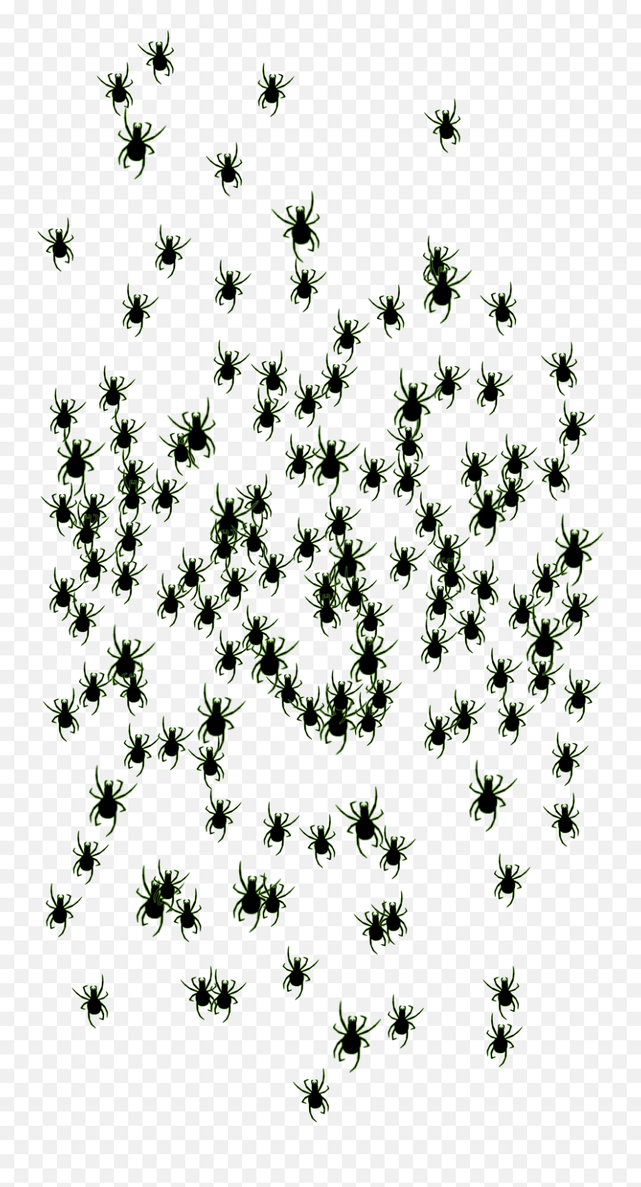 Shooting Star - Insect Png,Frost Border Png