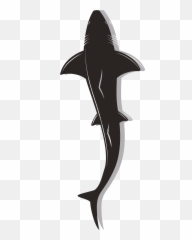 Shark Top View Clipart Free Download Transparent Png - Hammerhead Shark,Top View Png