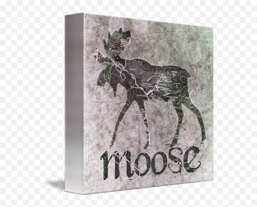 Bull Moose Silhouette By Priska Wettstein - Caribou Png,Moose Silhouette Png