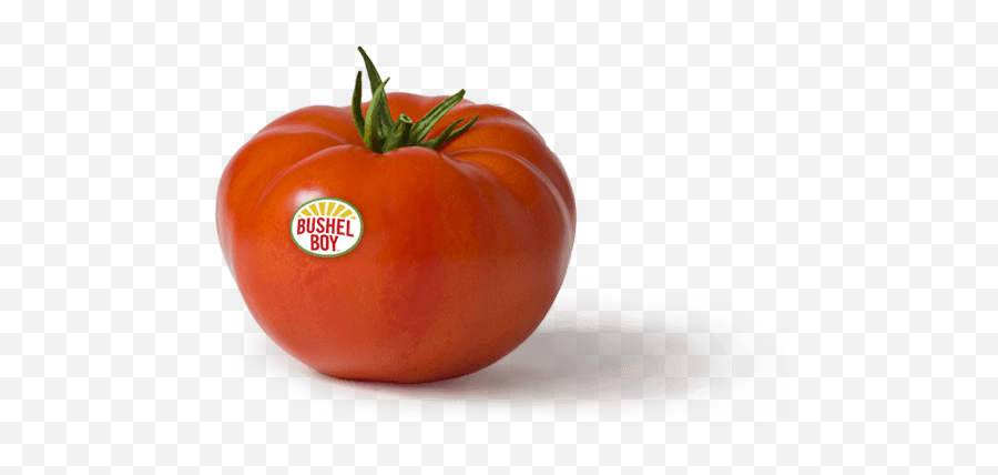 Bushel Boy U2013 Website - Superfood Png,Tomatoes Png