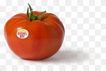 Bushel Boy U2013 Website - Superfood Png,Tomatoes Png