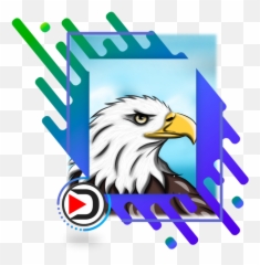 Bald Eagle And Mountains Aguila Calva - Png Transparent Background Frame Png,Aguila Png