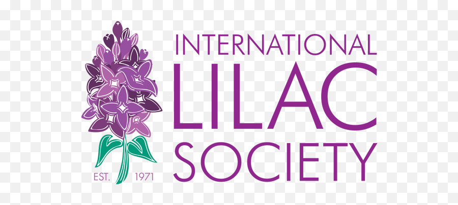 International Lilac Society - If It Involves A Bra Png,Lilac Png