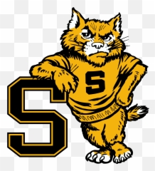 Home - St James High School St James High School Louisiana Png,Wildcat Png