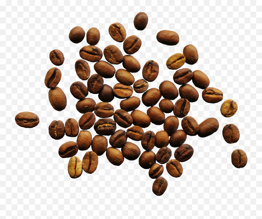 Coffee Beans Png Transparent Beanspng Images Pluspng - Coffee Beans Top Png,Grains Png