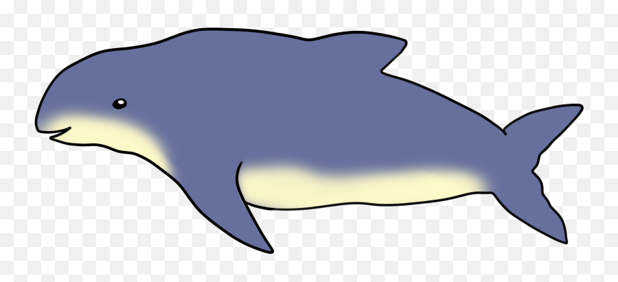 Burmeisters Porpoise - Porpoise Png,Fin Png