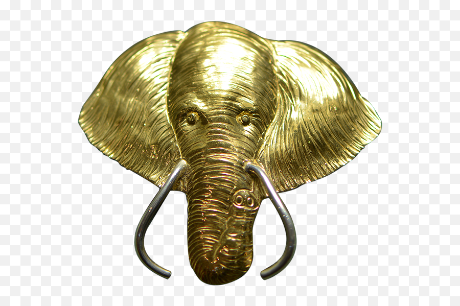Elephant Head Png