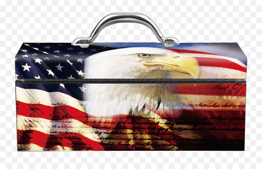 American Flag Eagle Portrat Steel Box - Bald Eagle With American Flag Png,American Flag Eagle Png