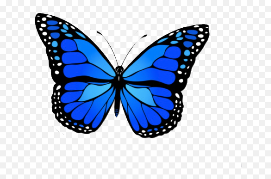 blue monarch butterfly clipart