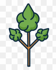 Green Tall Tree Icon Transparent Png U0026 Svg Vector - Natural Foods,Green Tree Icon