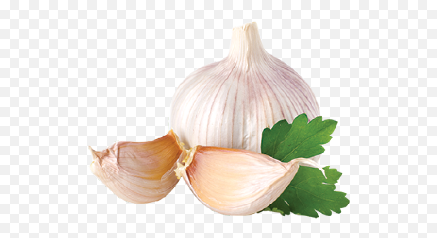 Herbal Summer Food Mitre 10 - Garlic Png,Herbs Png