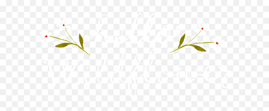 Katie Daisy Illustrator U0026 Wildflower - Twig Png,Wildflower Png