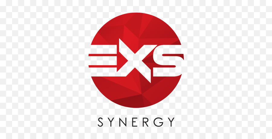 Exs Synergy Electrical U0026 Instrumentation Services Company - Exs Synergy Sdn Bhd Png,Synergy Icon