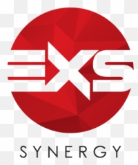 Exs Synergy Electrical U0026 Instrumentation Services Company - Exs Sdn Bhd png