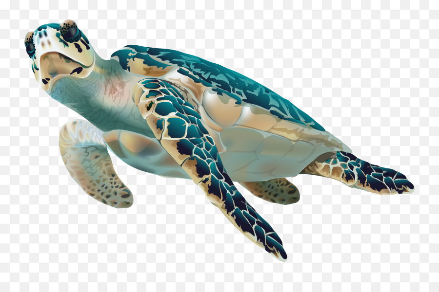 Sea Turtle Clipart U2013 Gclipartcom - Transparent Sea Turtle Png,Ocean Transparent Background