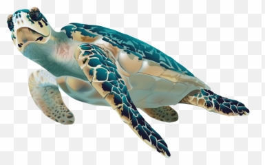 Sea Turtle Clipart U2013 Gclipartcom - Transparent Sea Turtle Png,Ocean Transparent Background