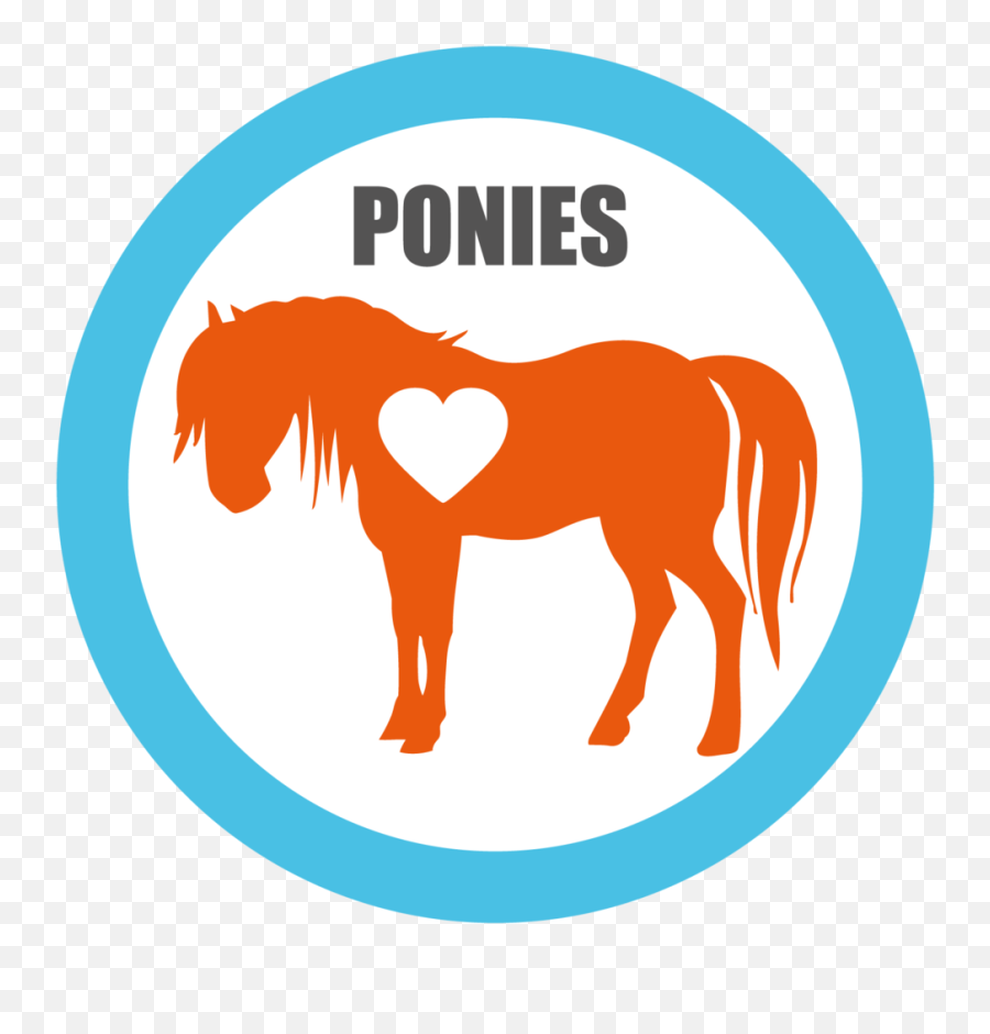 Ponies For Adoption - Horse Silhouette Png,Horse Silhouette Png
