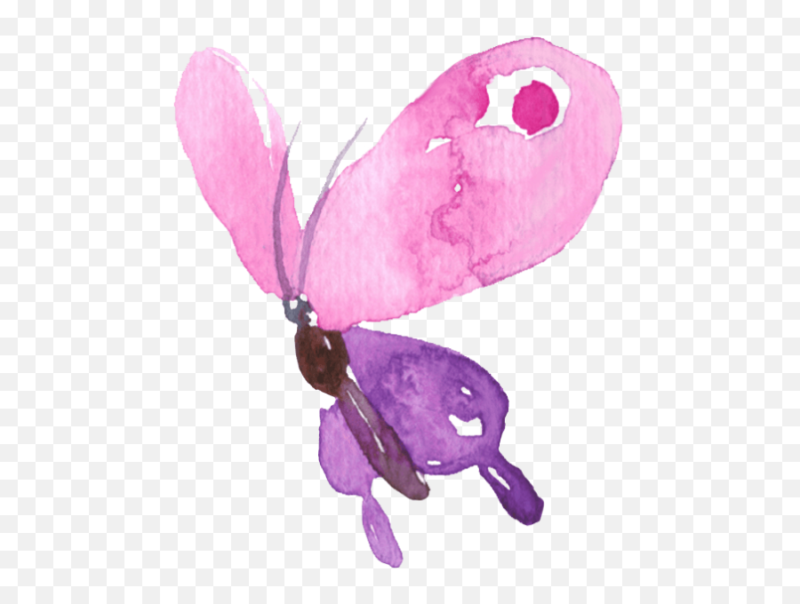 Butterfly Butterflies Insect Animals - Water Color Butterfly Png,Purple Butterfly Png