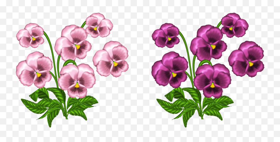 Pink Violets Png Clipart Images - African Violet Png,Violets Png