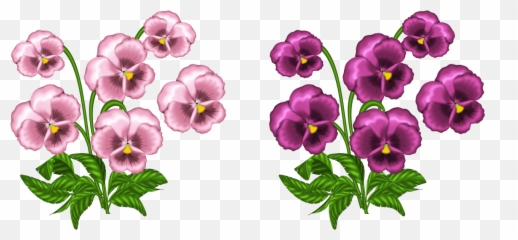 Pink Violets Png Clipart Images - African