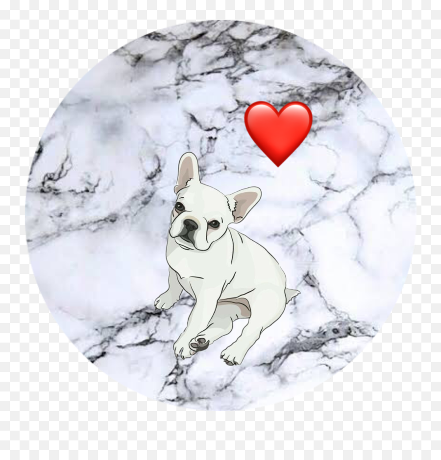 French Bulldog - Marble Cute Background Png,Marble Background Png
