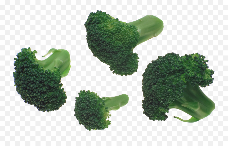 Png Images Transparent Background - Broccoli Png,Brocoli Png