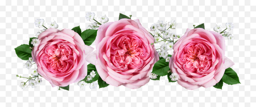 Arreglos Florales De Rosas - Flores Rosas Rosas Png,Rosas Png - free transparent png images - pngaaa.com