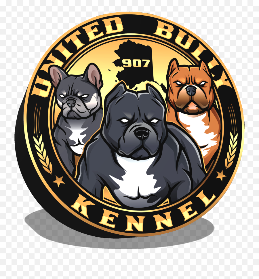 Infounitedbully - Org Vector Perros American Bully Guard Dog Png,Bully Png