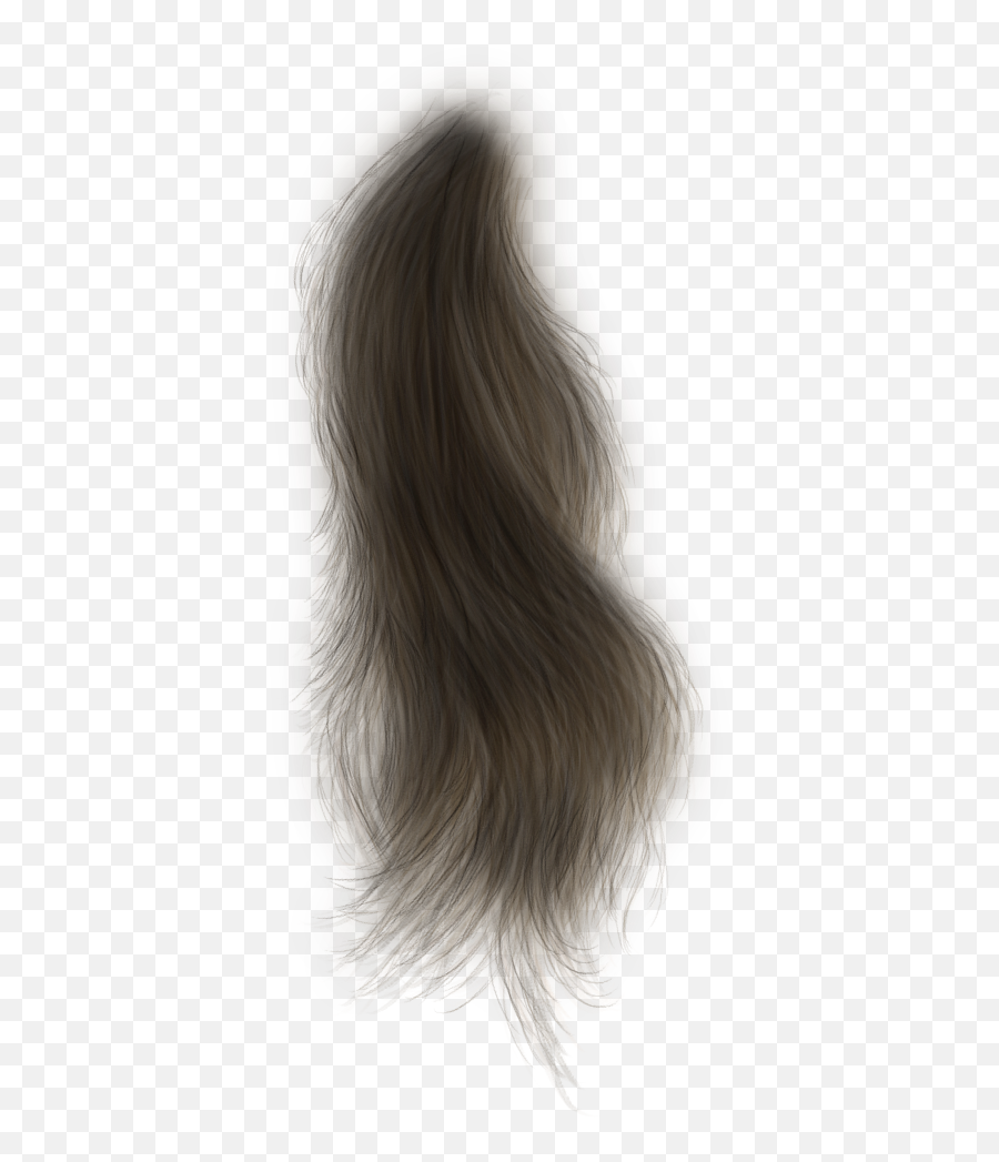 Carhuanilla Chumpi En Pinterest Png Cabello