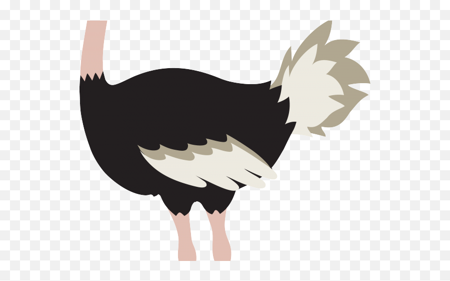 Download Ostrich Clipart Animated - Ostrich Bird Clipart Clipart Ostrich Png,Bird Clipart Png