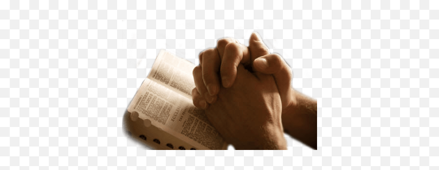 Hands Transparent Png Images - Praying Hands Transparent Background,Pray Png