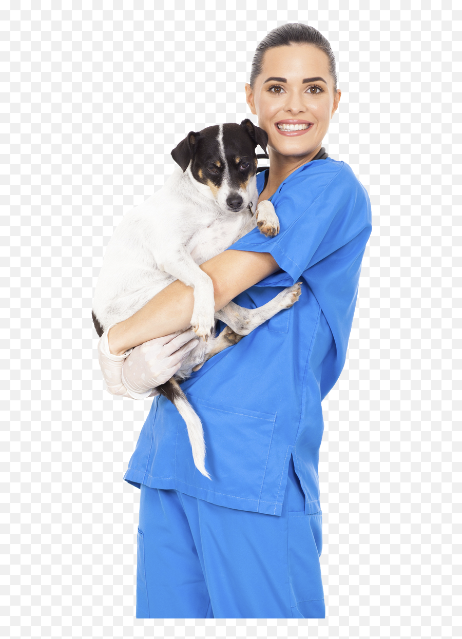 Veterinary Care 101 Png Veterinarian
