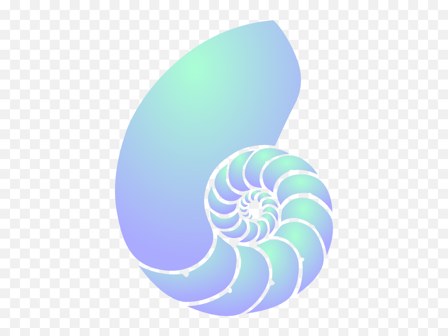 Clip Art Seashell Portable Network Graphics Nautilidae - Nautilus Shell Clipart Png,Seashell Clipart Png