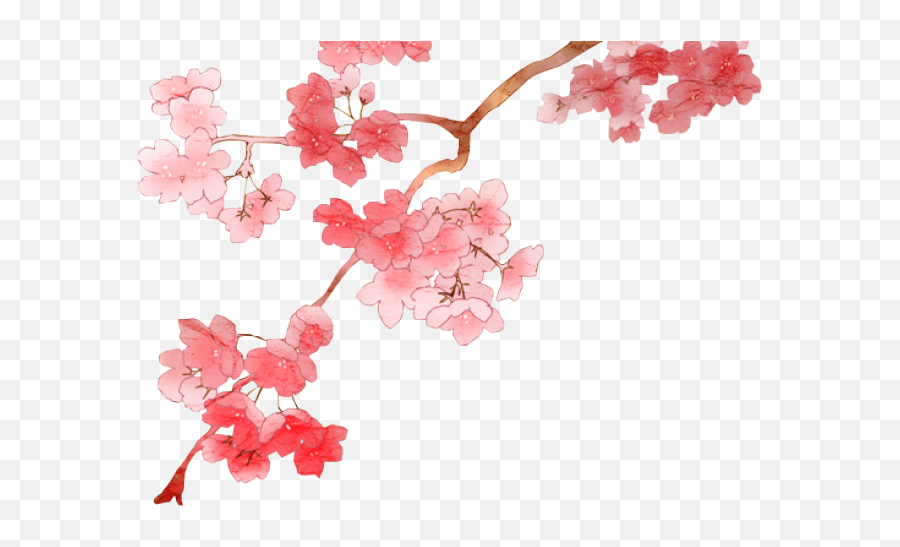 Cherry Blossom Png Transparent Image - Anime Cherry Blossom Png,Cherry Blossoms Transparent