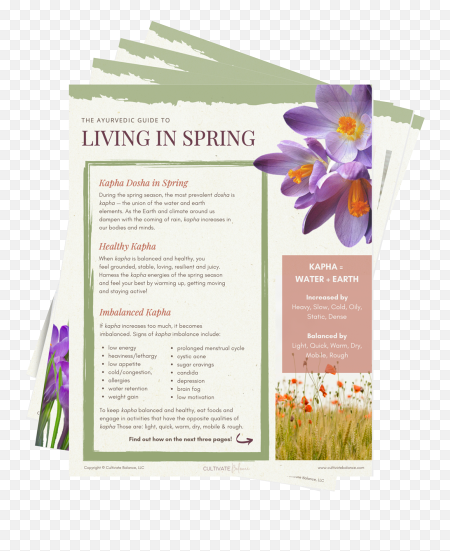 The Ayurvedic Guide To Living In Spring - Autumn Crocus Png,Spring Season Icon