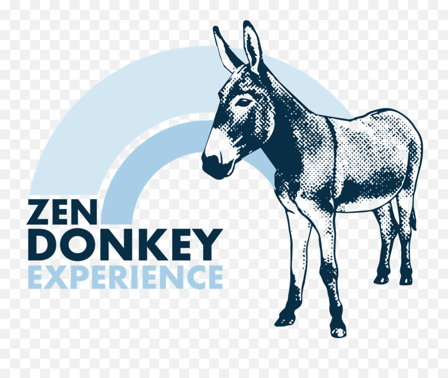 Zen Donkey Farms - Brooklyn Museum Png,Dunkey Never Gettin Into Icon