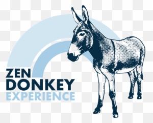 Zen Donkey Farms - Brooklyn Museum png