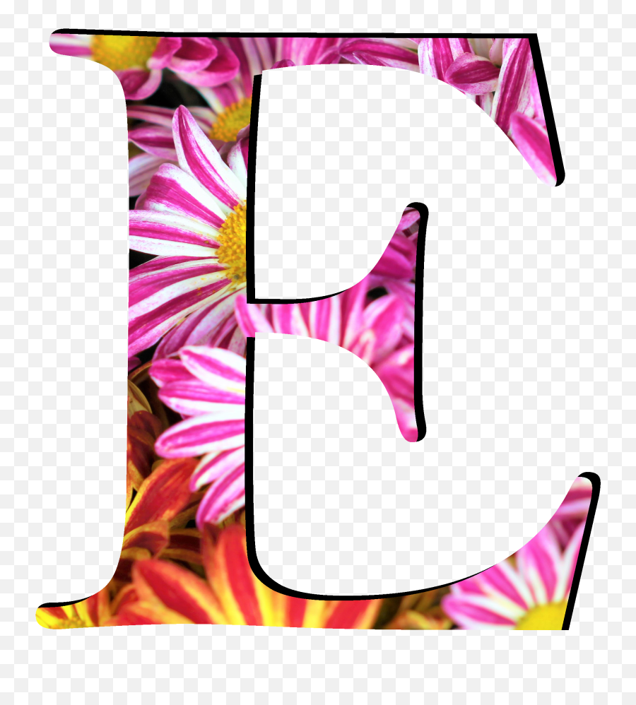 Fileflower Pattern Letters Epng - Wikimedia Commons Letters E In Design,Letter Png