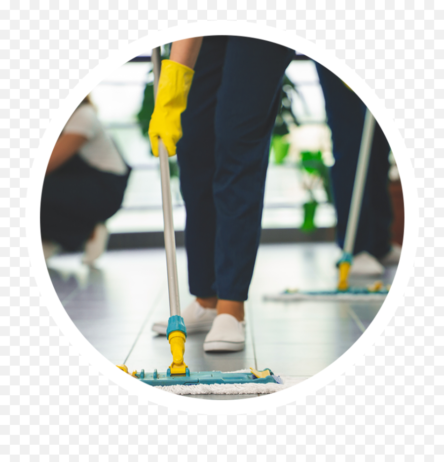 Carpet Cleaning - Office And Industrial Cleanliness Png,Cleaning Services Icon