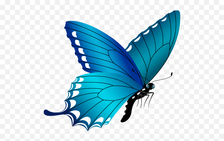 Download Blue Butterfly Png Image - Free Butterfly Clipart Png,Blue Butterflies Png