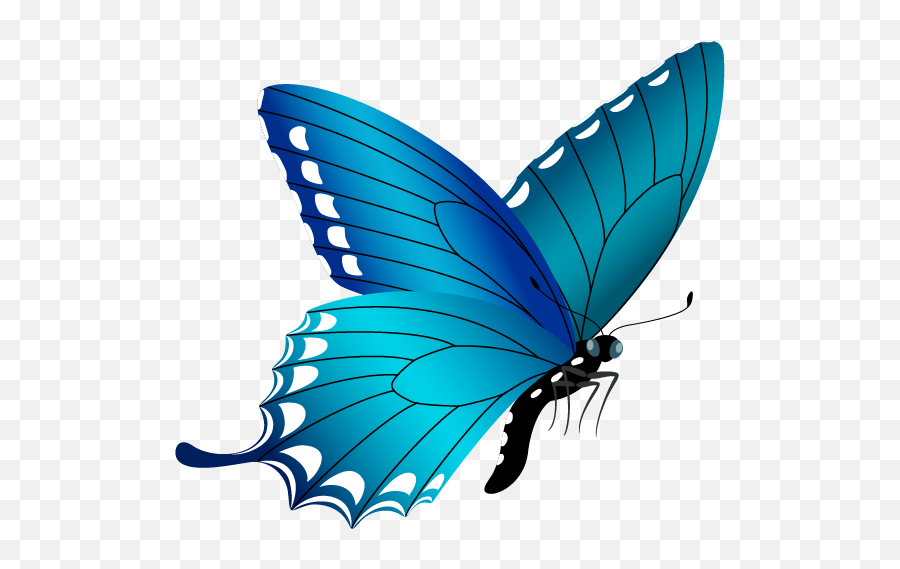 Download Blue Butterfly Png Image Free Butterfly Clipart Png Blue Butterflies Png Free Transparent Png Images Pngaaa Com