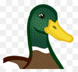 Sx My Gf And Me Are Wondering What Year Was Mor - Duck Png Clipart