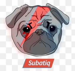 Vladimir Semenov - Pug png