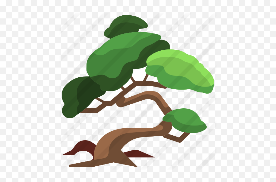 Bonsai - Free Nature Icons Illustration Png,Bonsai Tree Png