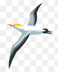 Seagull Clipart Png 1 Image - Flying