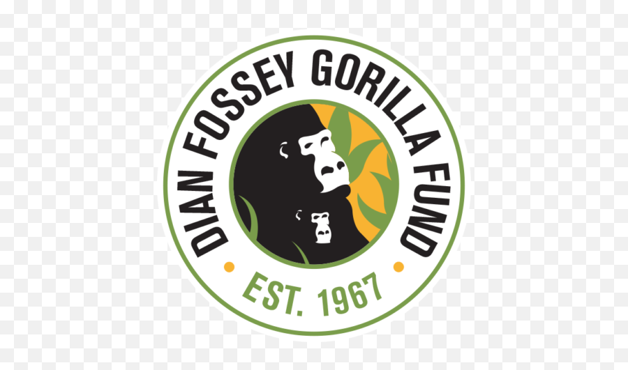 Giving Back Gorilla With A Brush - Dian Fossey Gorilla Fund International Png,Gorilla Logo