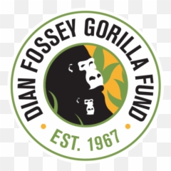 Giving Back Gorilla With A Brush - Dian Fossey Gorilla Fund International Png,Gorilla Logo