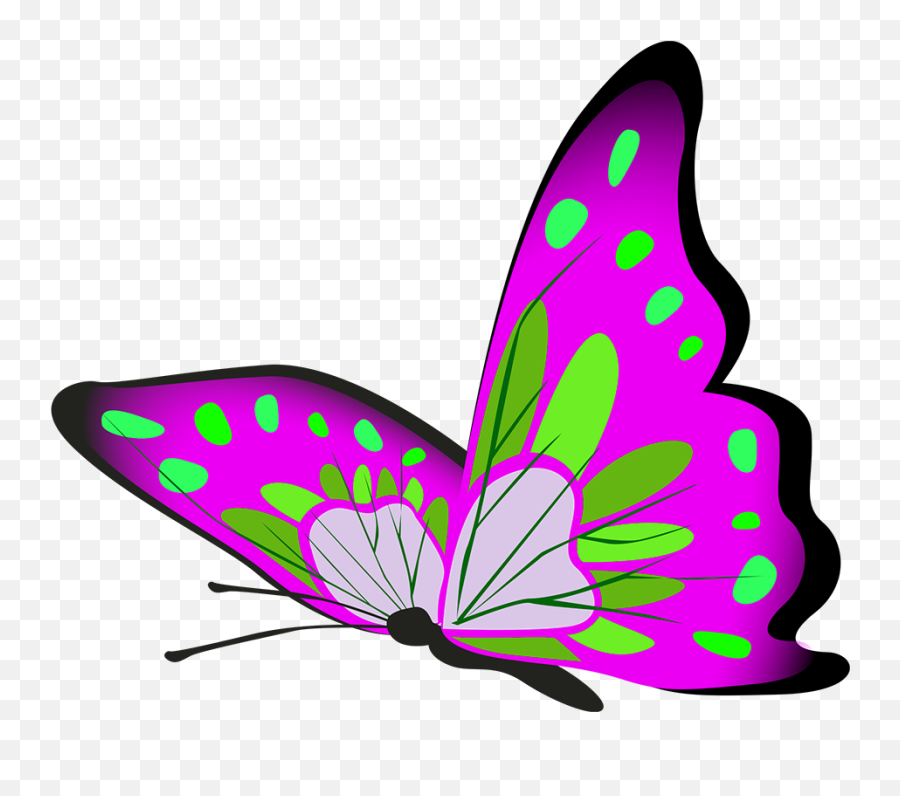 Butterfly Clipart - Butterfly Png,Purple Butterfly Png