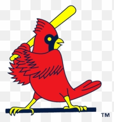 Birds - St Louis Cardinals Old Logo Png,Bird Logos
