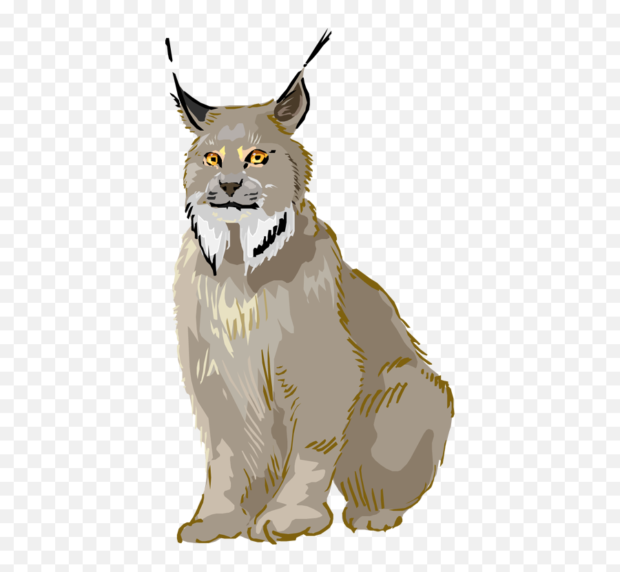 Lynx Clipart Png Image - Clipart Lynx,Lynx Png